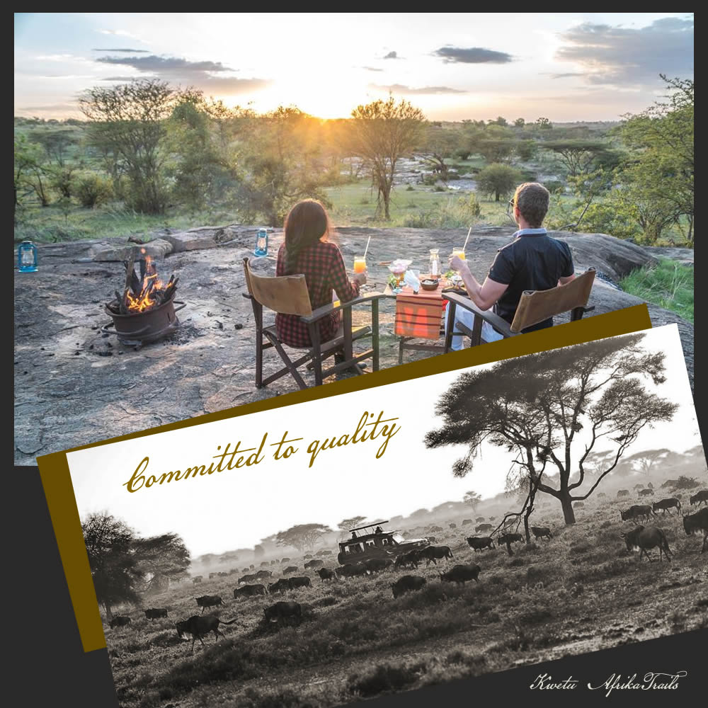 Serengeti Luxury Tanzania safari enjoy the best moment - kwetu afrika trails