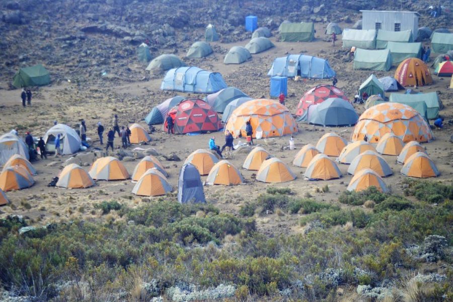 mawenzi turn camp